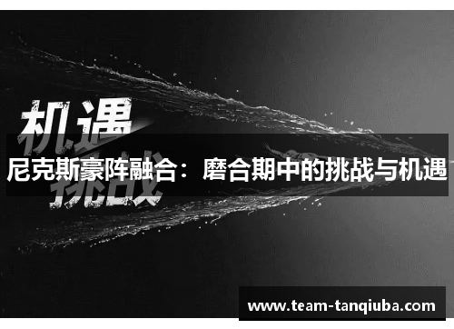 尼克斯豪阵融合：磨合期中的挑战与机遇